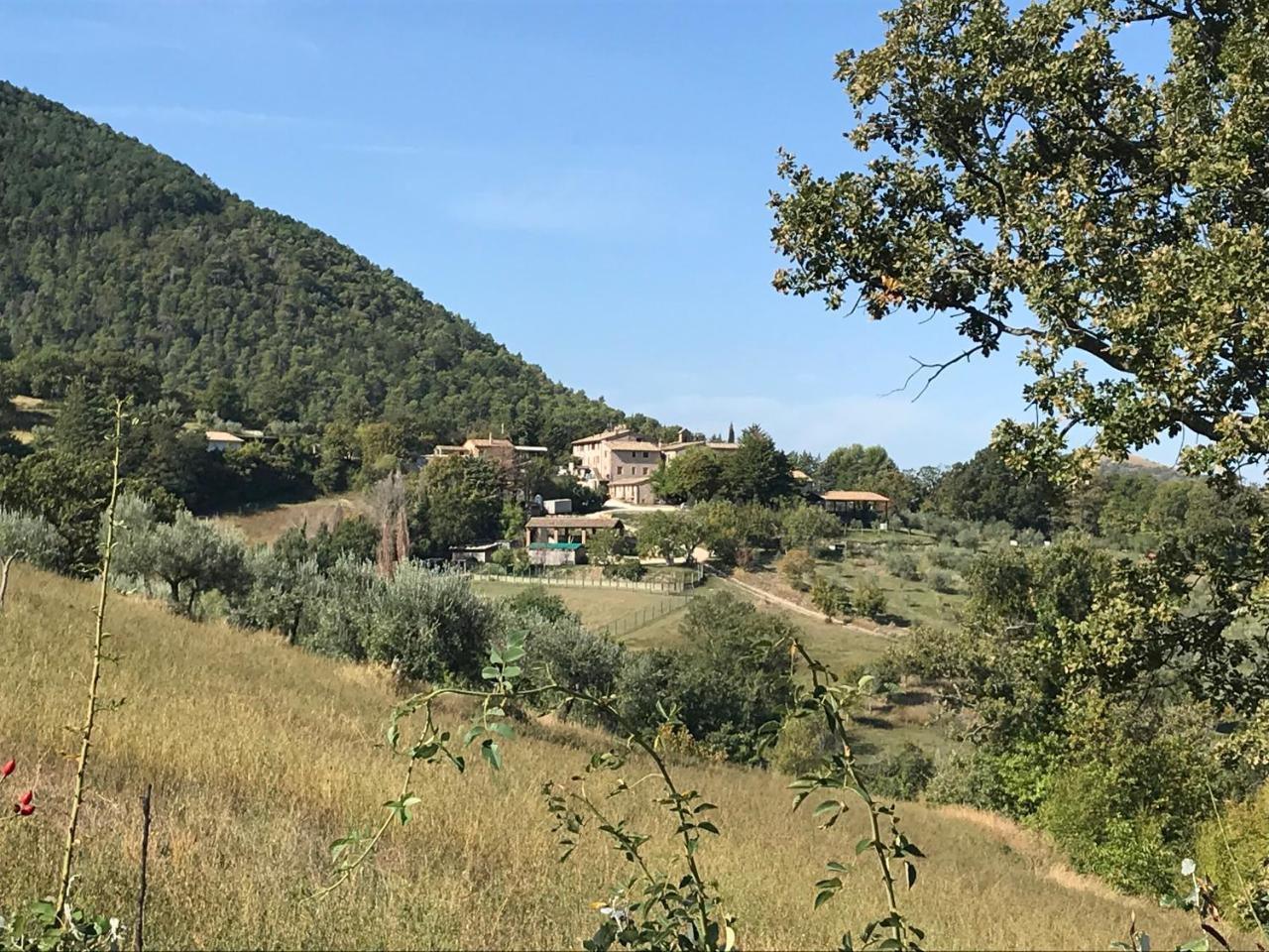 Agriturismo Il Castello Assis Exterior foto